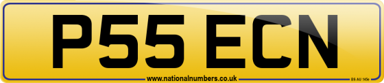P55 ECN