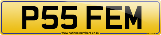 P55 FEM