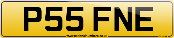 P55 FNE