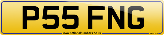 P55 FNG