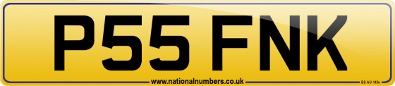 P55 FNK