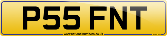 P55 FNT