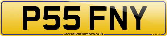 P55 FNY