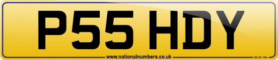 P55 HDY