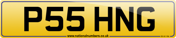 P55 HNG