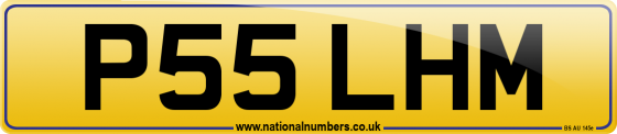 P55 LHM