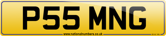 P55 MNG