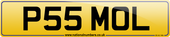 P55 MOL