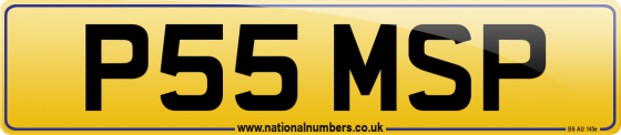 P55 MSP
