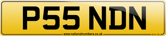 P55 NDN