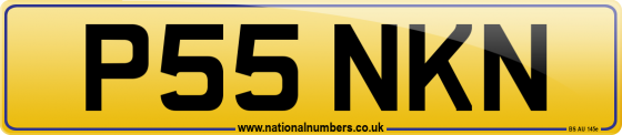 P55 NKN