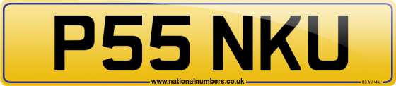 P55 NKU