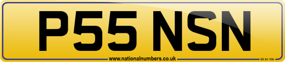 P55 NSN