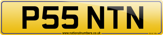 P55 NTN