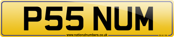 P55 NUM