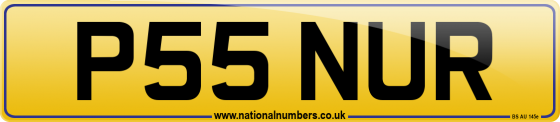 P55 NUR