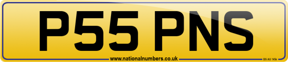 P55 PNS