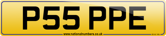 P55 PPE