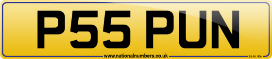 P55 PUN