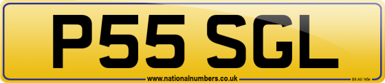 P55 SGL