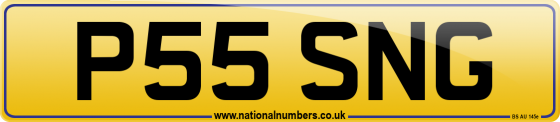 P55 SNG