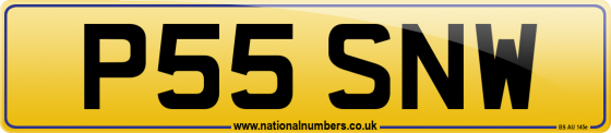 P55 SNW