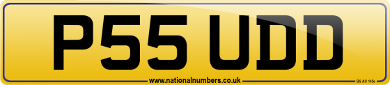 P55 UDD