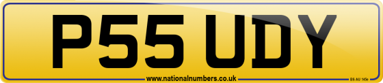 P55 UDY