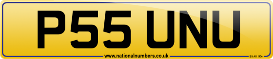 P55 UNU