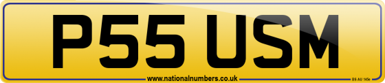 P55 USM
