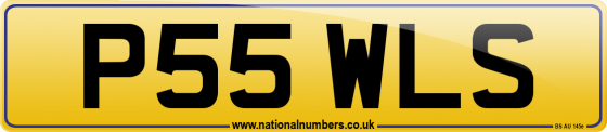 P55 WLS