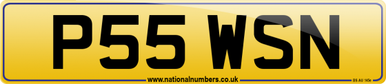 P55 WSN