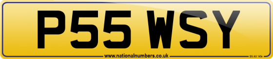 P55 WSY