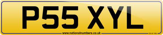 P55 XYL