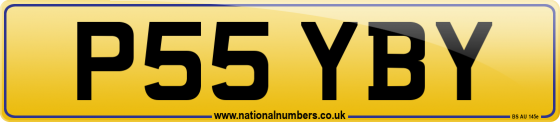 P55 YBY