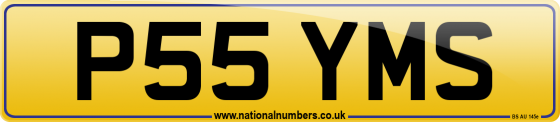P55 YMS