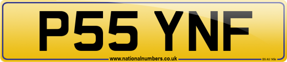 P55 YNF