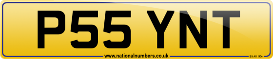 P55 YNT