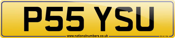 P55 YSU