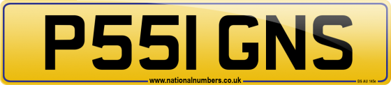 P551 GNS