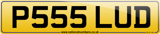P555 LUD