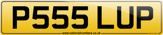 P555 LUP