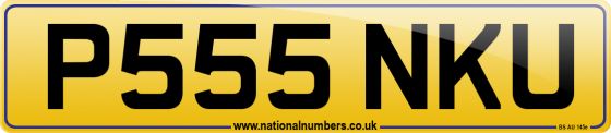 P555 NKU