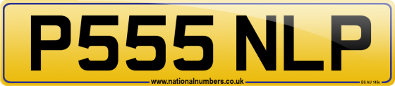 P555 NLP