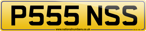 P555 NSS