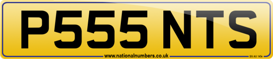 P555 NTS