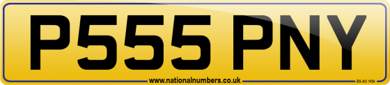 P555 PNY