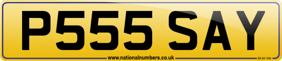 P555 SAY