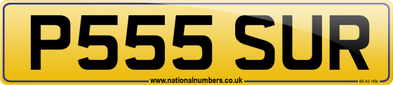 P555 SUR