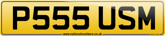 P555 USM